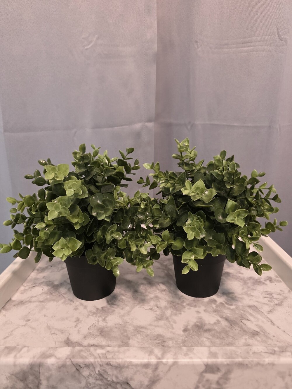 IKEA Green Artificial Eucalyptus and Boxwood Duo in Black Pots 2 piece Set